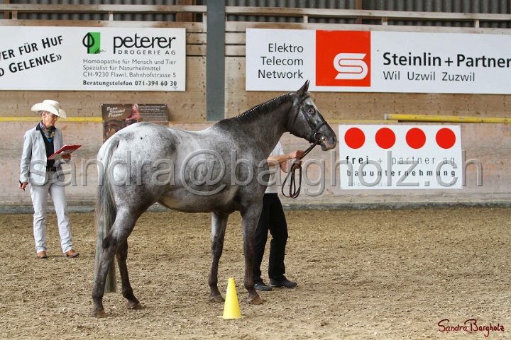 24-ApHC HIH_028.jpg